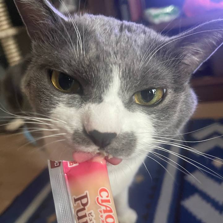 358da32d 9f98 4e30 9ef0 757af1e8559f 1664262605409