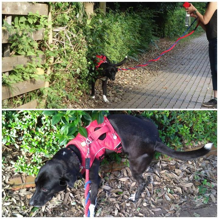 358da6aa fd6d 4c60 88a4 4942479790c0 1600387474243