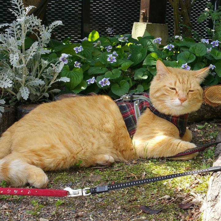 358db729 f54f 4565 b86f f45036b9d83c 1525054414828