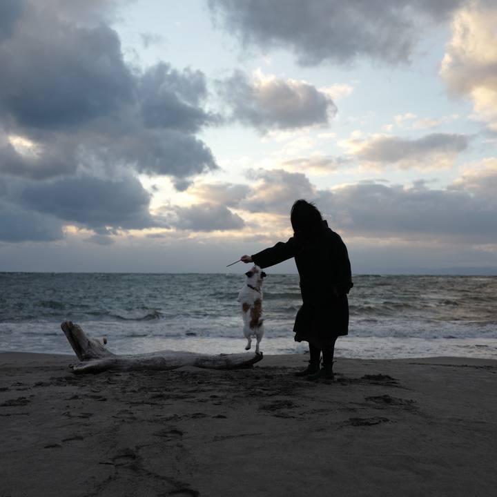 358de18d 95ed 4a99 bced 2efdf2b1a216 1606553984257