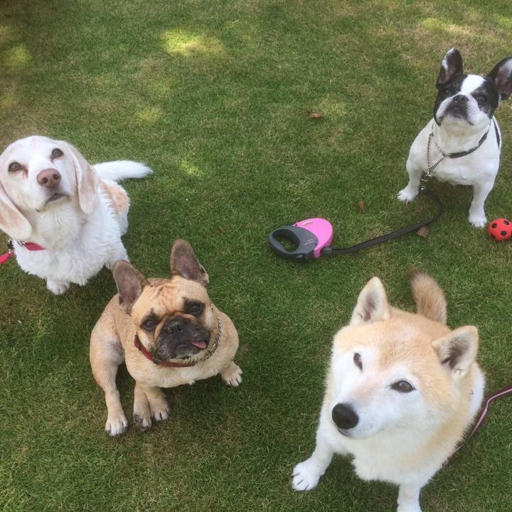 358e6b3e 648b 4c01 b765 8f0207b0410a 1532878368935