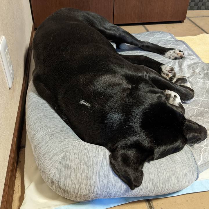 358ed00f 22a4 4fc8 883e ca36c22e8ff1 1690579061345