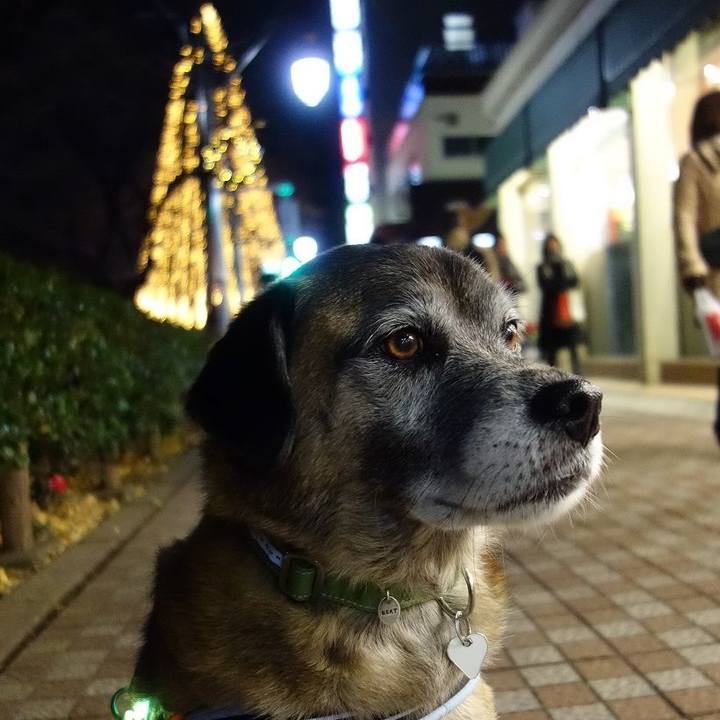 358edcb6 ce9a 45af b08b 6937547e6f05 1514038338347