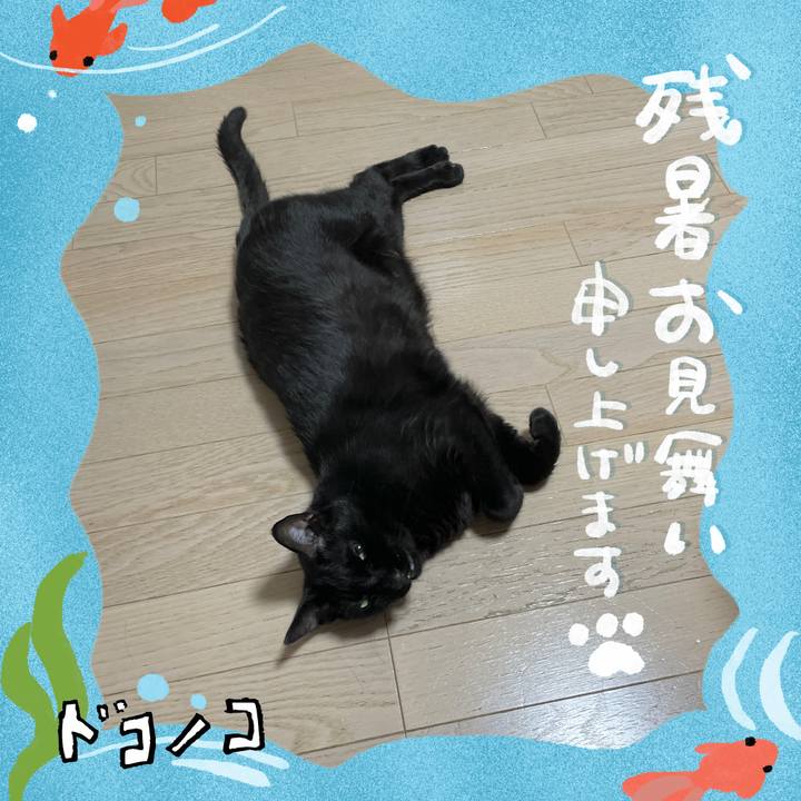 358effc6 7e69 4265 b338 2a41f57790e2 1723282014506