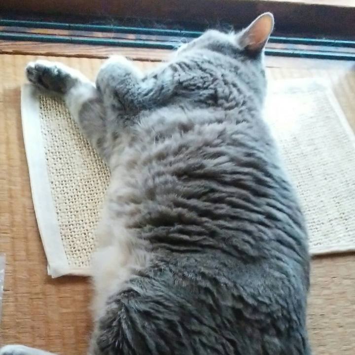 358f00b6 0601 4005 ae3a d4356b893e06 1562111125019