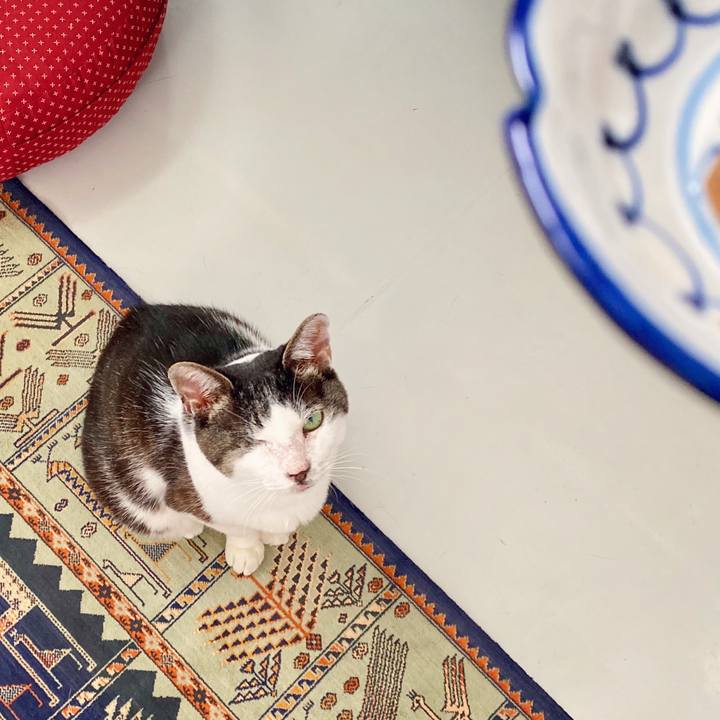 358f35de fa3d 45fa 8d12 915cdf32931b 1594354135335