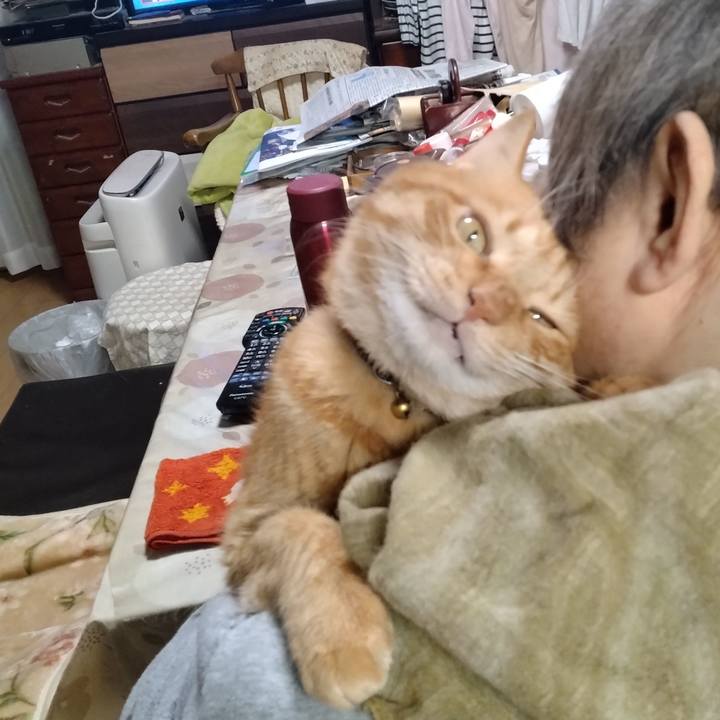 358f4328 8933 42c0 8167 9f1ac36fe449 1763700055499