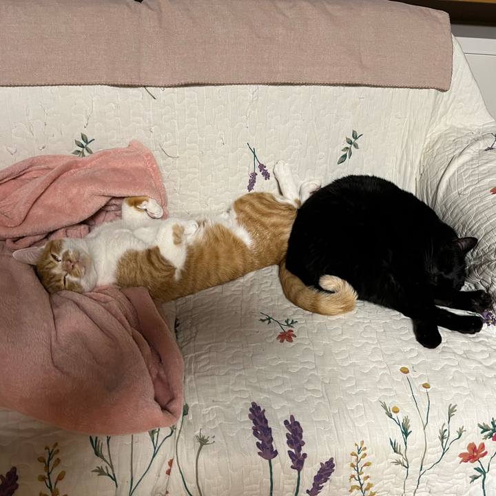 358f7021 7e05 4b45 8f90 896930f0921c 1675083500387