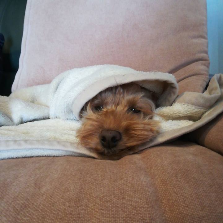 358f9941 7063 4ad5 a15a 8c2becf76c28 1574293230112