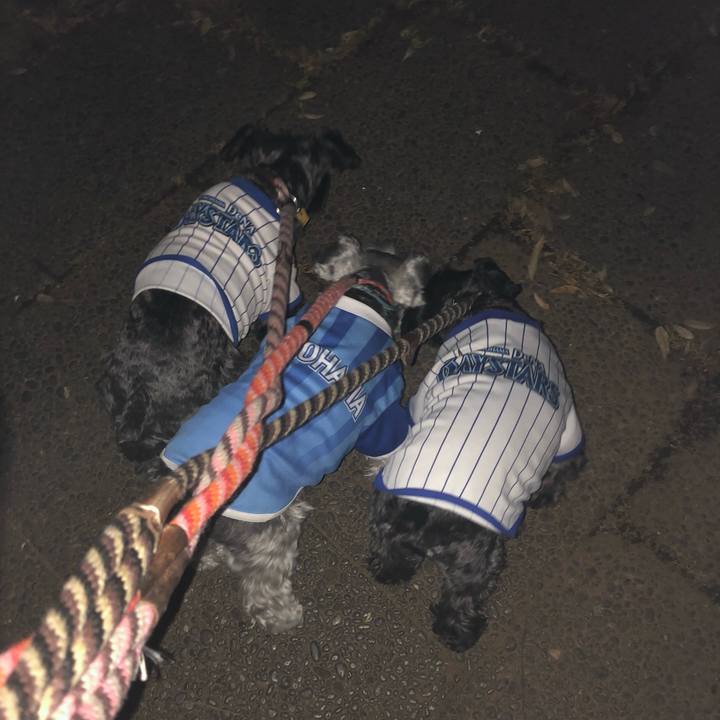 358faac7 7cd0 43b5 8d75 2f0009e87237 1559224488475