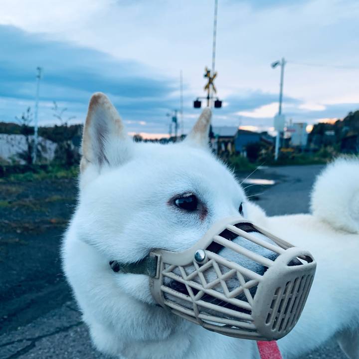 358fde91 3378 4cee b6af bc03cc96b07b 1604181468986