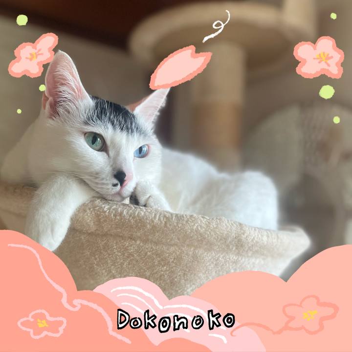 358fedee 45a0 4d52 8852 d12b2d77ae08 1775190565713