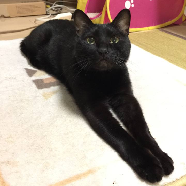 35902327 d776 4885 b108 a8aedcb4dcc9 1575119959331