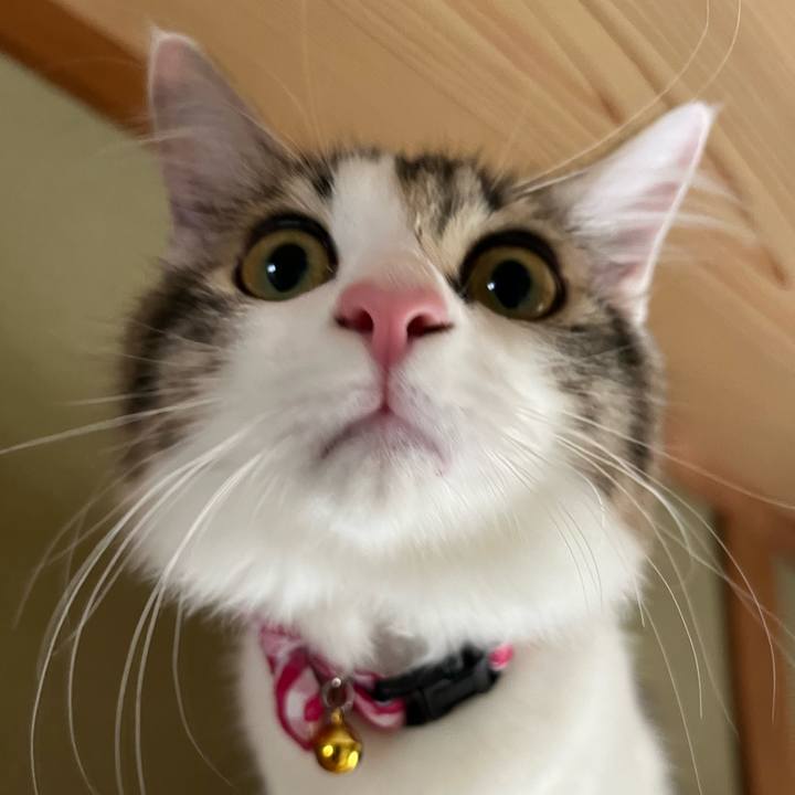 35902a68 bcc7 4e82 94e6 59ea65f03b52 1693735149410