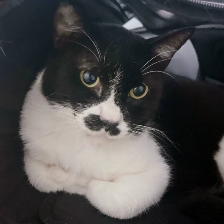 35903ce1 6d71 40a7 918e b20fbc122a3e 1694135890231