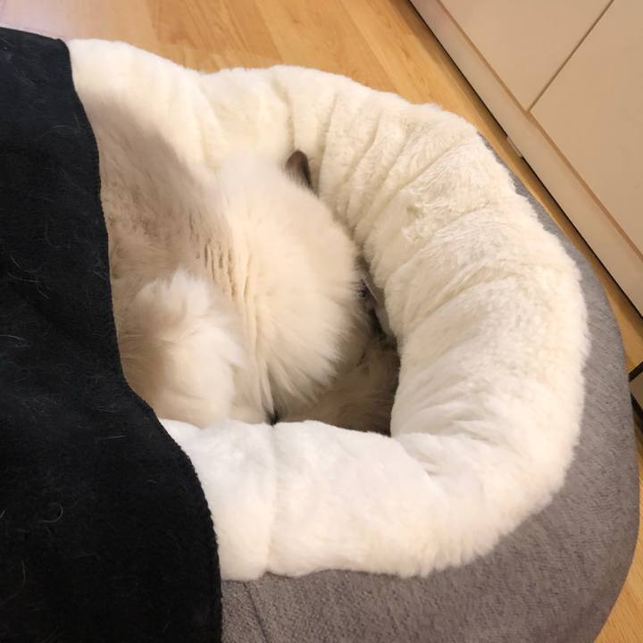 3590463b b2e1 4a52 8f8f 10d4b495e7d6 1576834240307