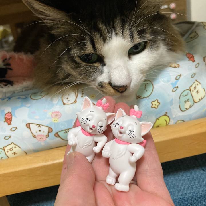 35904784 b2e1 4573 805e 43a047be4601 1769518611548