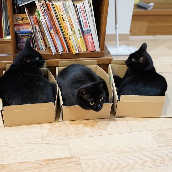 35906aaf 8257 4bf7 8e92 4830a52cbfd2 1559225466291