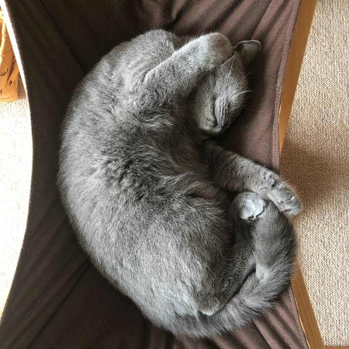 3590978a 8c60 49dd 89b7 0a87b5f8b2f5 1538370511194