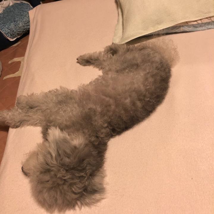 3590c03b 07af 4069 8dc7 ca0e4f418db9 1597416724568