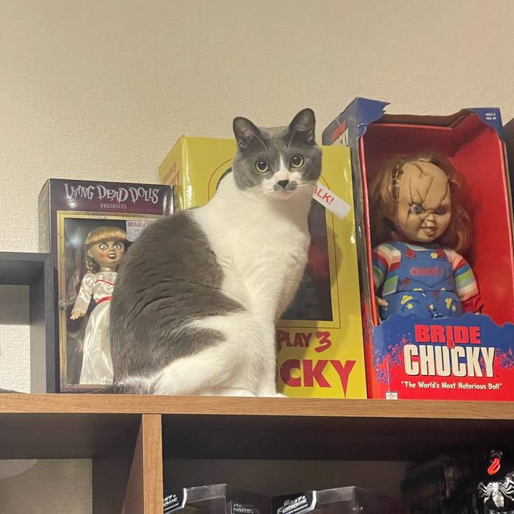 3590d5be 0f53 446a 8004 4c248f402026 1666442672763