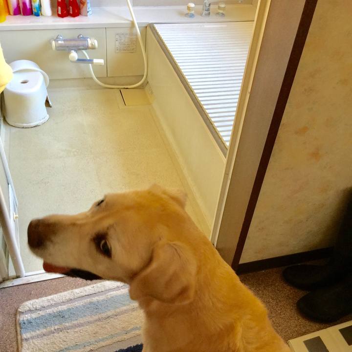 3590fa2f 9f53 4d55 b4a7 81229d2225cb 1569371960247