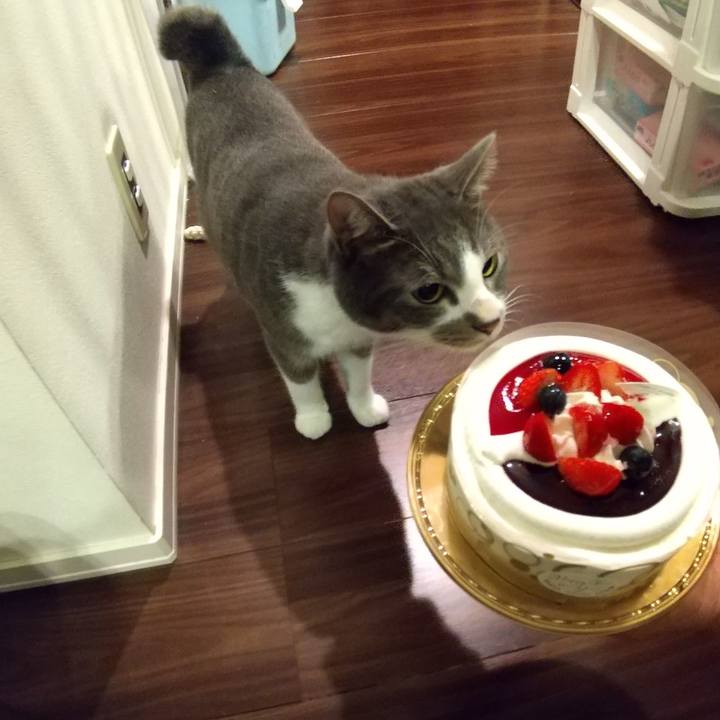 35913508 1122 445c 95a6 9ab1462e8994 1605875746491