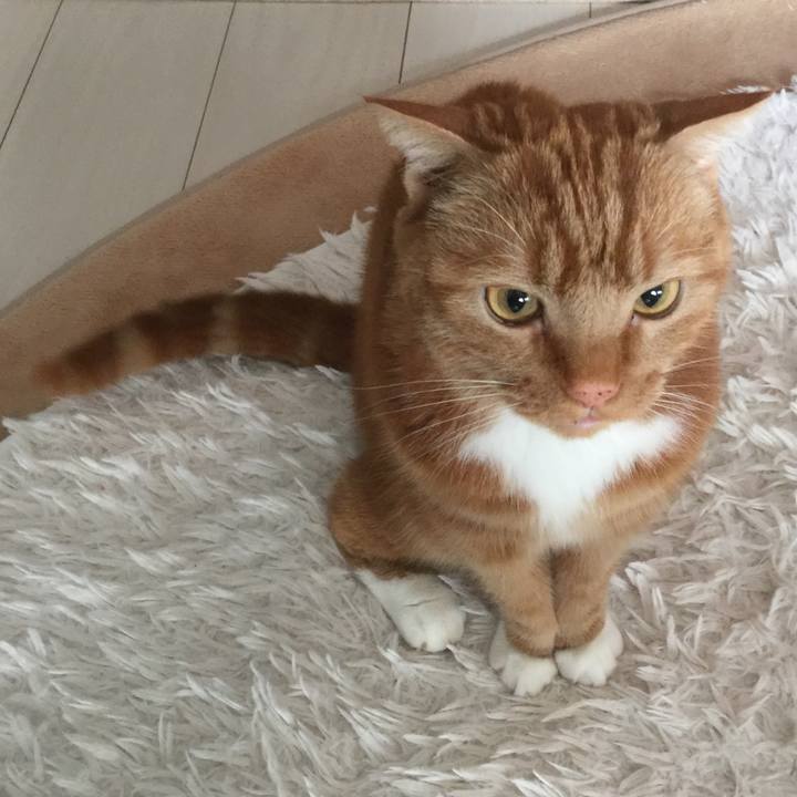 3591a783 44aa 49b7 b0d2 a3a95836b3c3 1587175218765