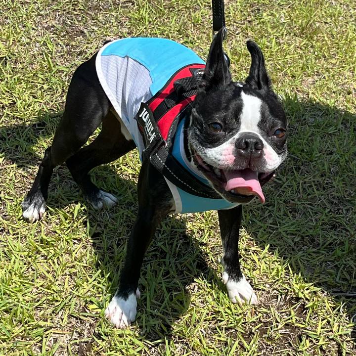 3591b034 9738 4aa9 a662 2b50c3b6bc2c 1684736724333