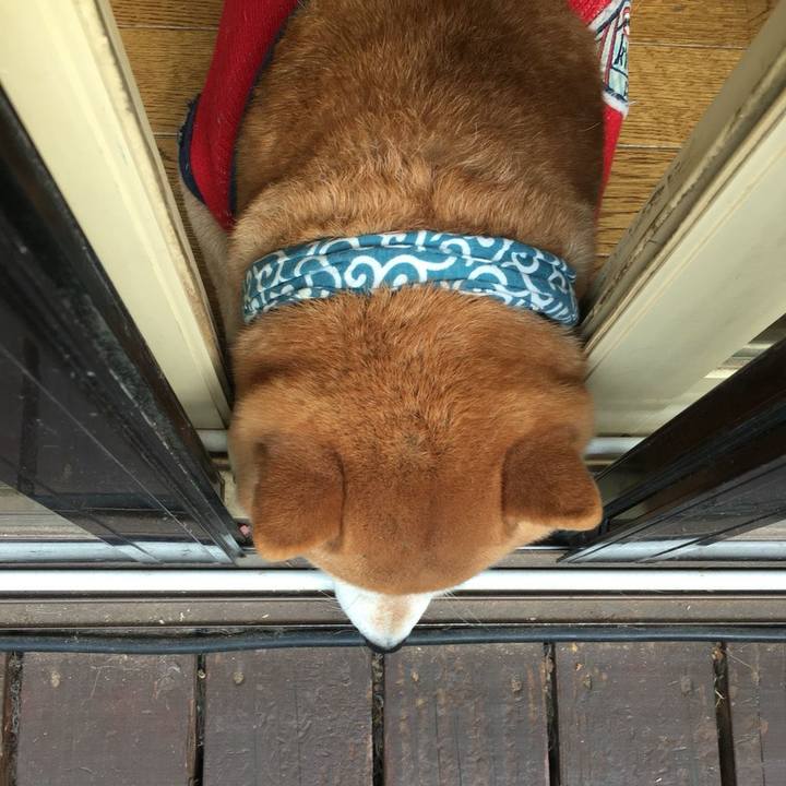 3592029e 99da 4a96 81dd 01154e05c15c 1517622468980