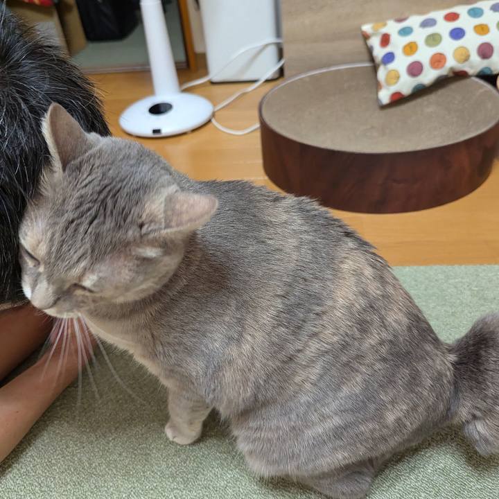 35921478 9b7b 401d 952d d7d39ceab340 1722319080332