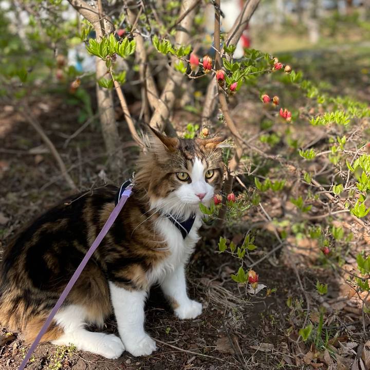 35921d59 e49d 424c 90fe 02733695571c 1651741599099