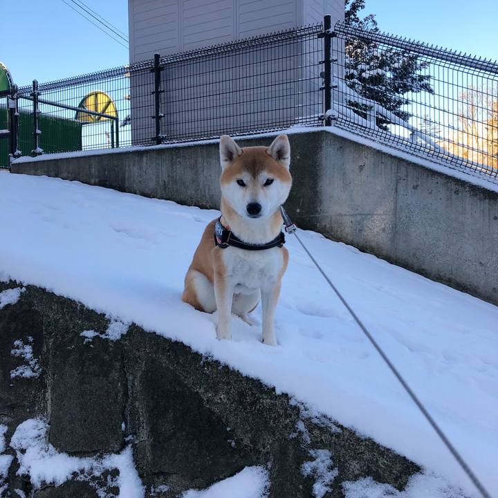 35921fe7 b917 4408 a9b2 7815ada49e0f 1574936880250