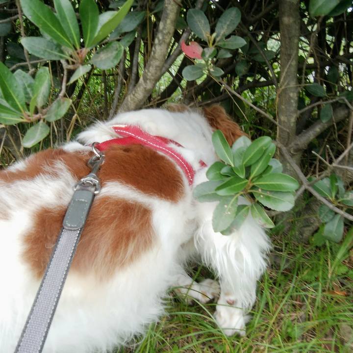 359238c5 05b4 4ec9 8830 593cfa2fba39 1538556278019