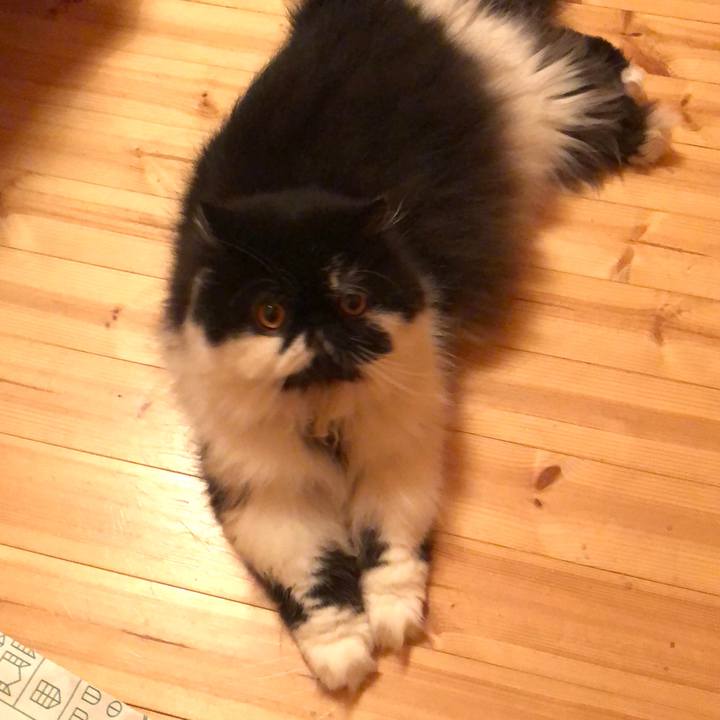 35925678 d929 476b b606 6b6523b81217 1542205571880