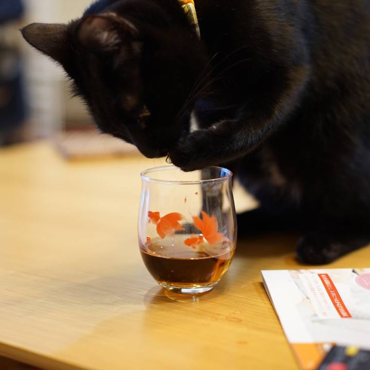 35926aac 343e 4440 a31c 2206dac726c7 1550804233160