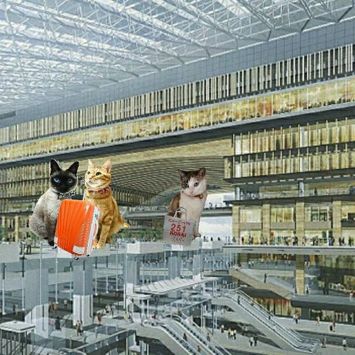 35927c84 3a45 49b9 8bf6 2e65cbd544b2 1525603470292