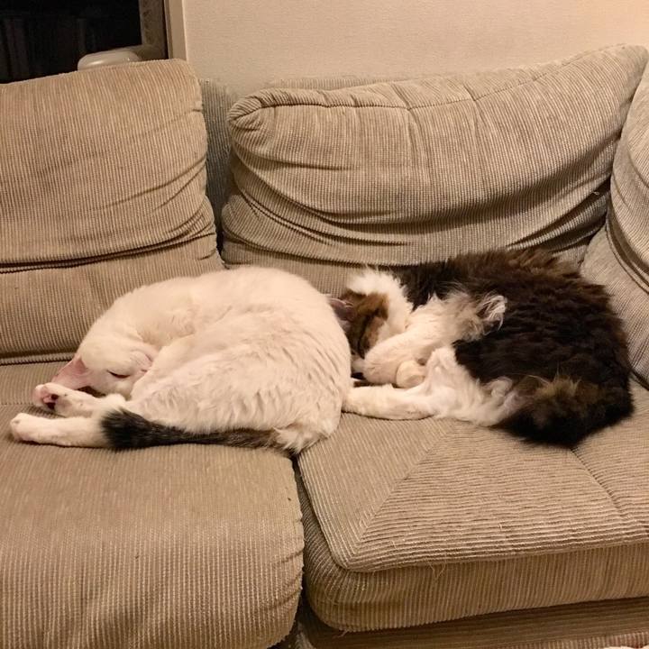 35928e69 7f6a 4370 9390 de750ab8342b 1521100032413