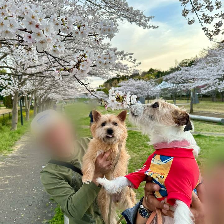 3592b305 3b49 4c6c a645 53a58c7ebe7d 1712500026424