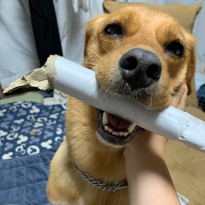 3592b982 89a8 4375 bc38 6ad998a5e0a2 1562076180771