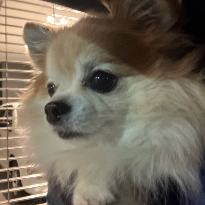 3592f5f0 1e17 47d8 81ae 7759f672e7f4 1760704767525