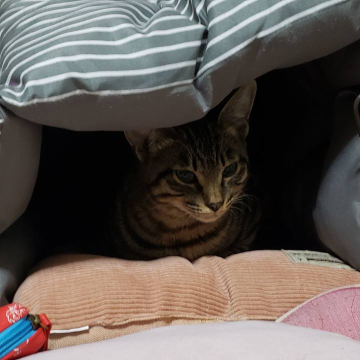 359327c0 a68c 4436 b153 408d7ebd19fb 1543592625370