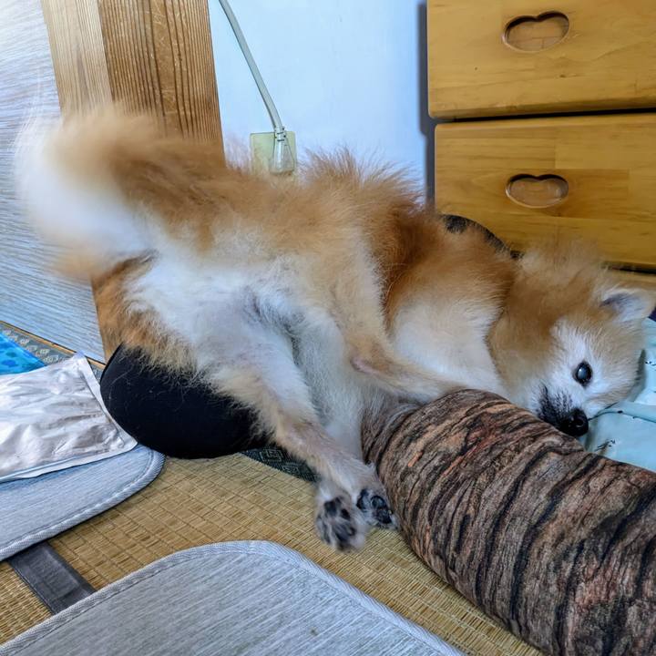 359340c6 aca3 4c72 b0a8 0fbf565d7d97 1725164679868