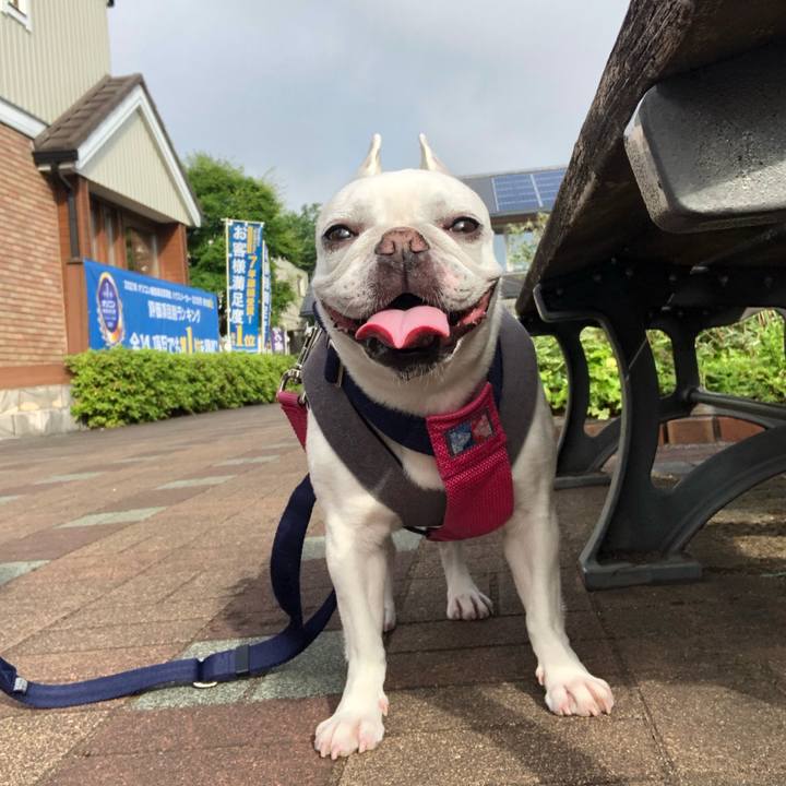 359346f9 3817 4c3a b47a e4bb24eb4bdc 1621297878605