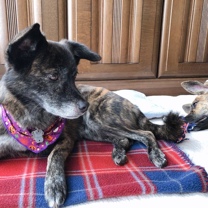 35935311 4303 411e abcd d28e76da34a5 1572409956005