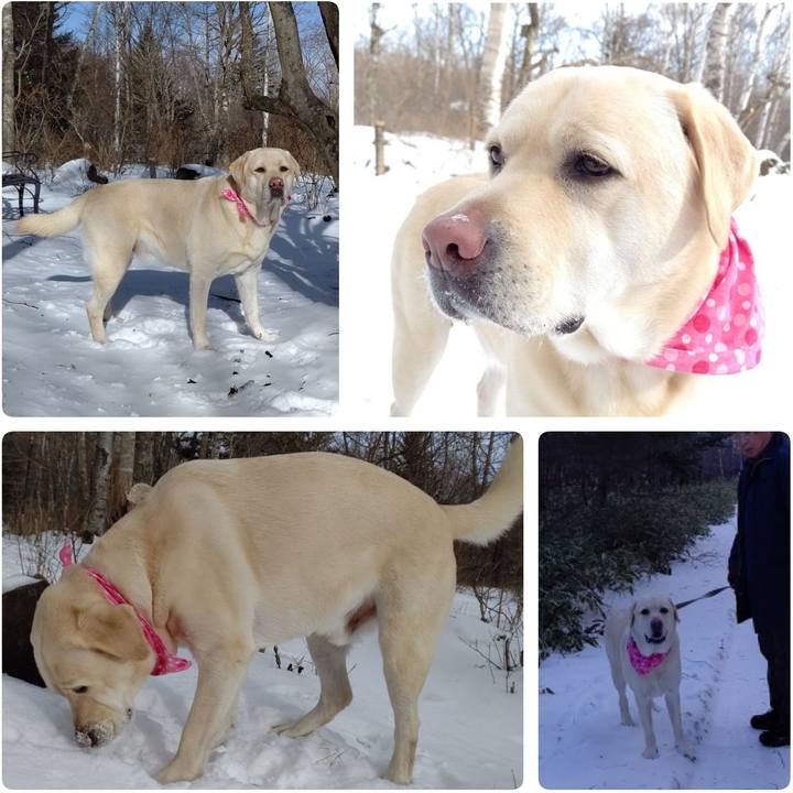 3593738a 9117 468f 8b3a febd525b0226 1609664356973