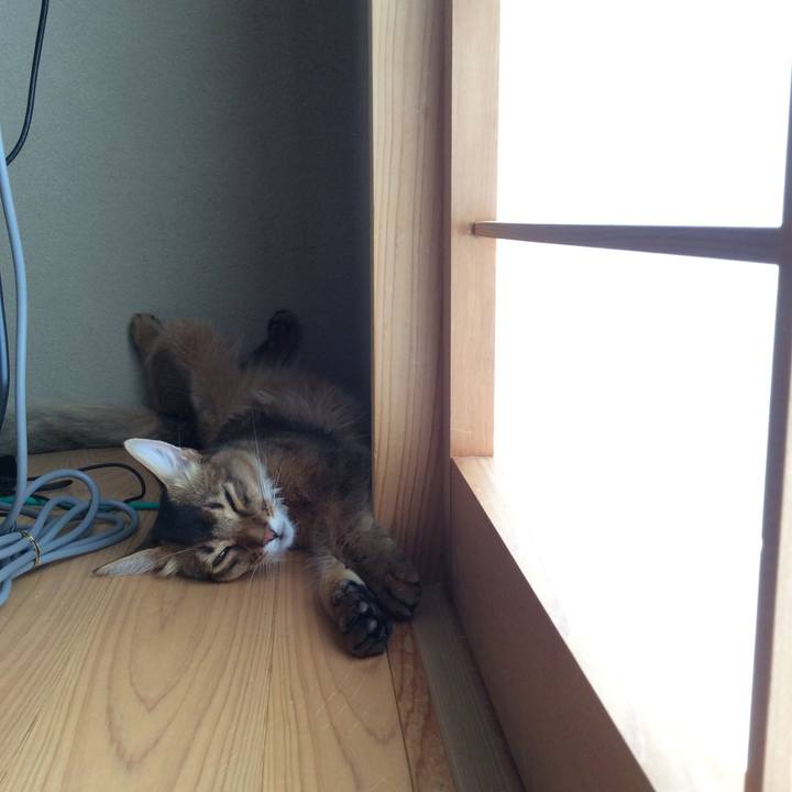 3593c137 d6bb 4e08 8c81 e42b61044c0e 1565582187127