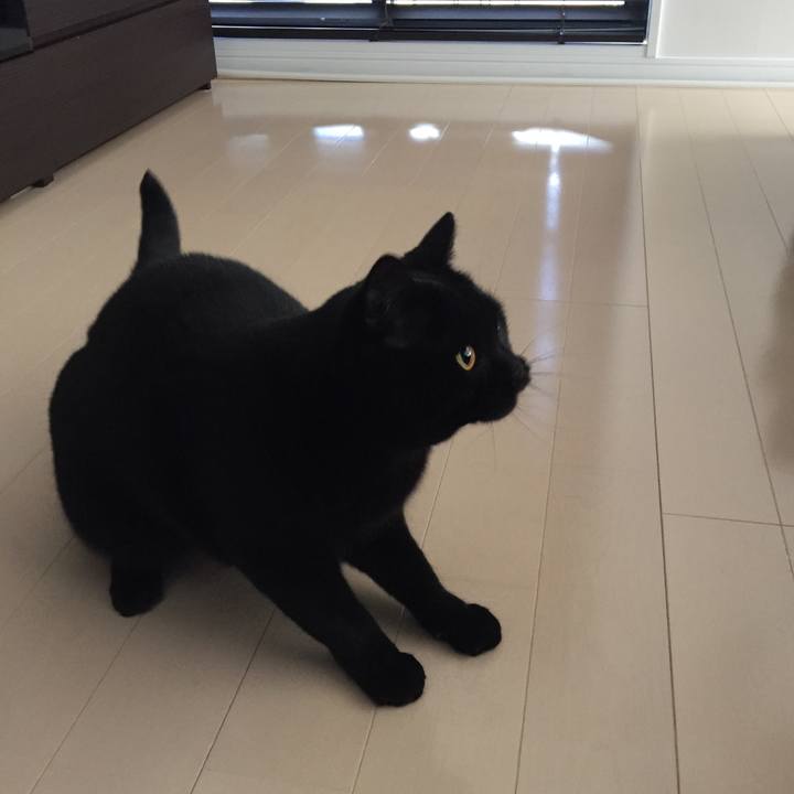 3593c166 f58a 43ad 8ff5 69f85fd46a80 1556839954222