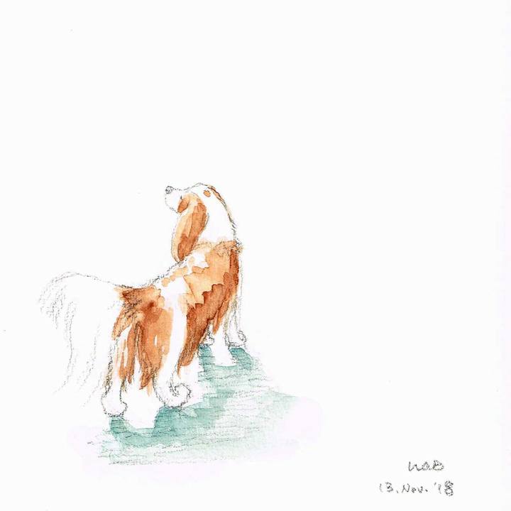 3593d6ad db53 4628 8fb4 a7461ccd6e60 1542109207854