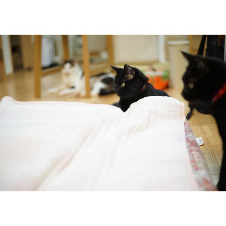 35941175 8640 487c 8f30 5e720037ecbf 1530629377599